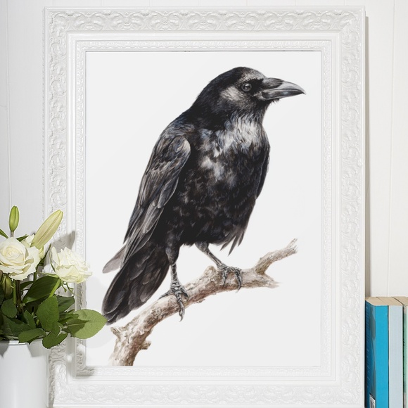 Watercolor Black Crow Wall Art Print Unframed - Black Bird Illustration Artwork - Picture 6 of 6